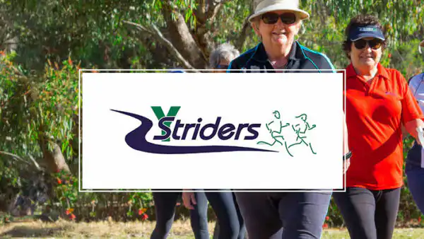 YStriders