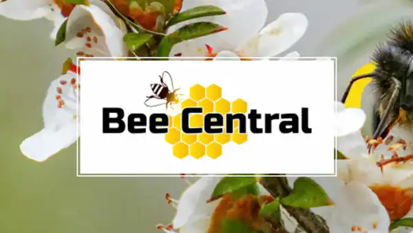 Bee Central
