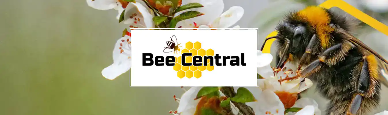 Bee Central