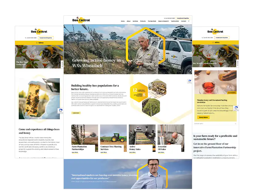 Bee Central web design Perth