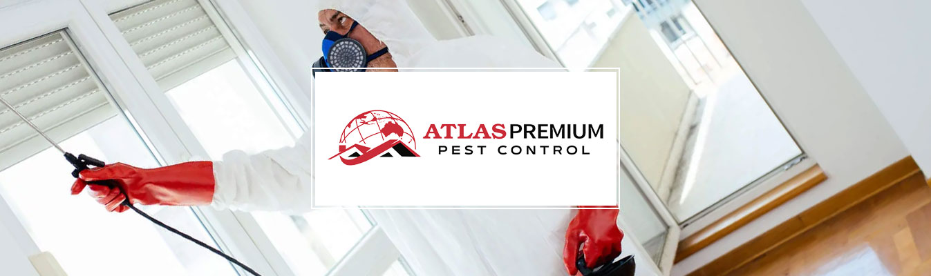 Atlas Premium Pest Control website design Perth