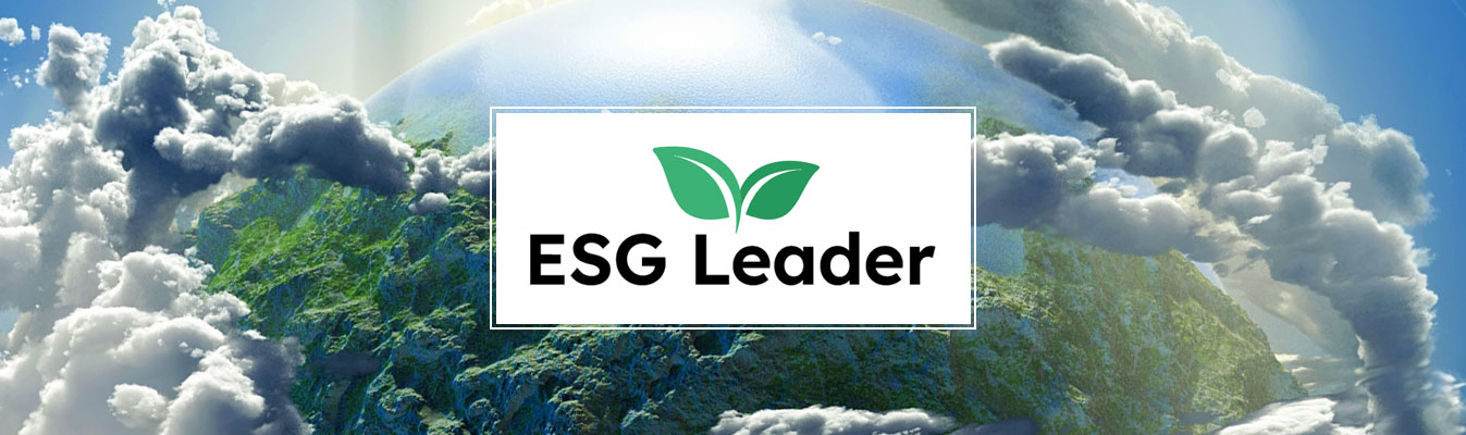 ESG Leader web design Perth