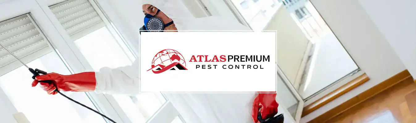 Atlas Premium Pest Control web design Perth