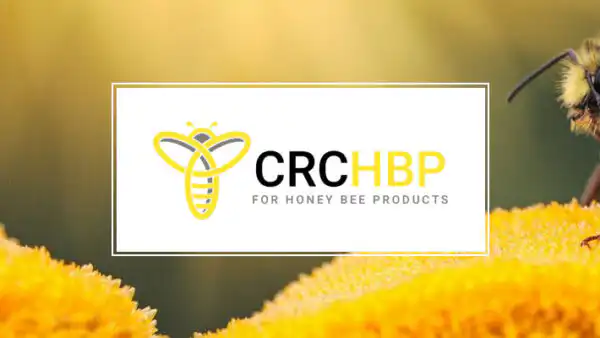 Website Launch - Cooperative Research Centre for Honey Bee Products web design Perth