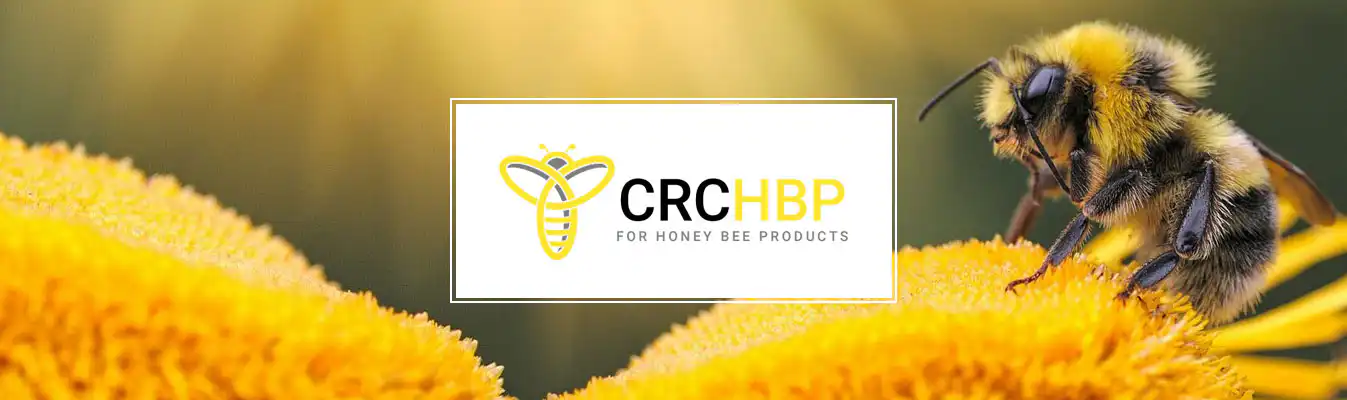 Website Launch - Cooperative Research Centre for Honey Bee Products web design Perth