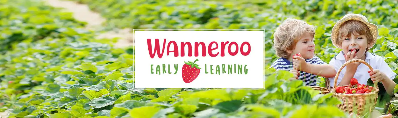 Wanneroo Early Learning Perth website design