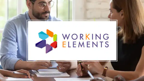 Working Elements Perth web design services