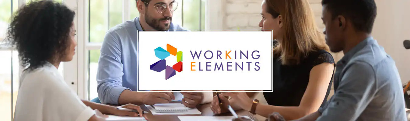 Working Elements Perth web design services