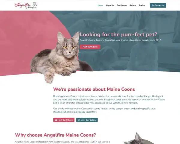 weblaunch-portfolio-angelfire-maine-coon