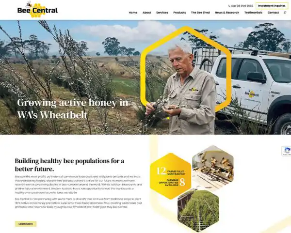 weblaunch-portfolio-bee-central
