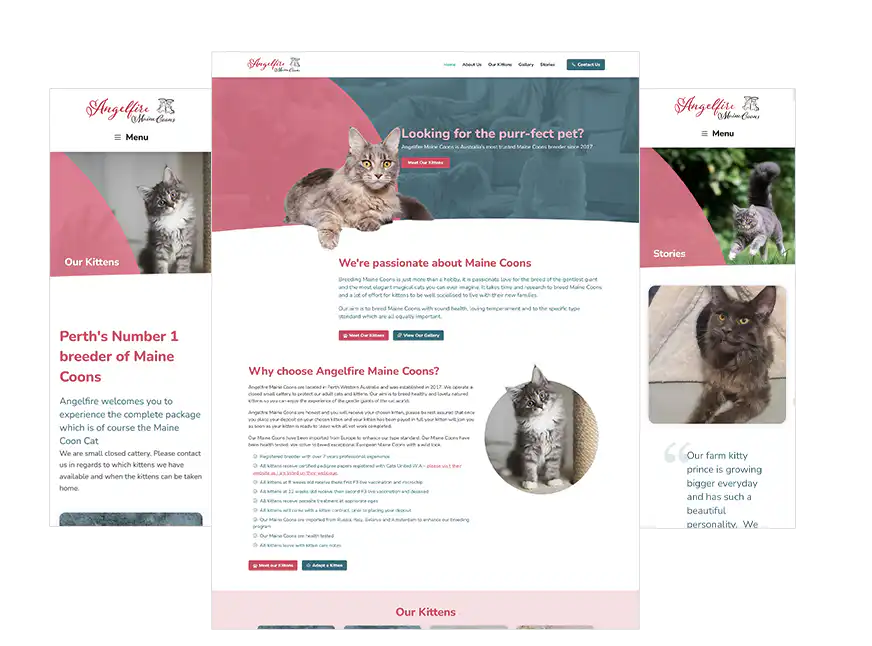 Perth website design Angelfire Maine Coons