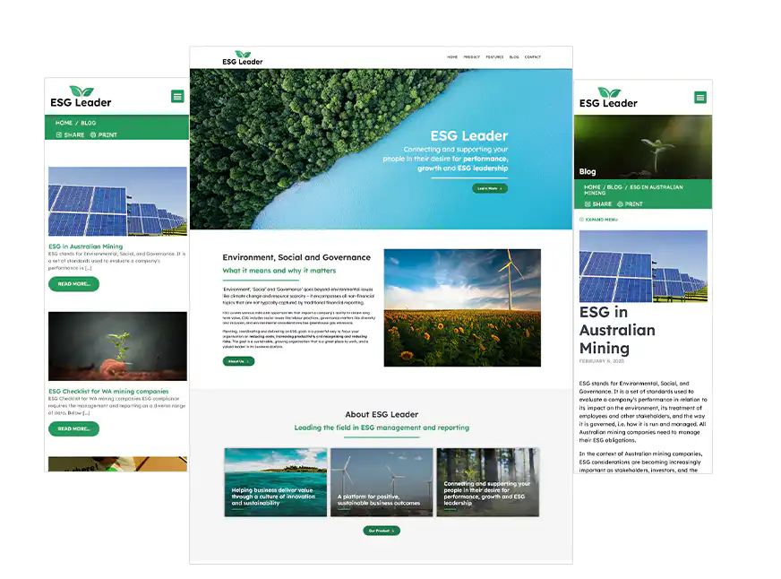 Perth web design ESG Leader