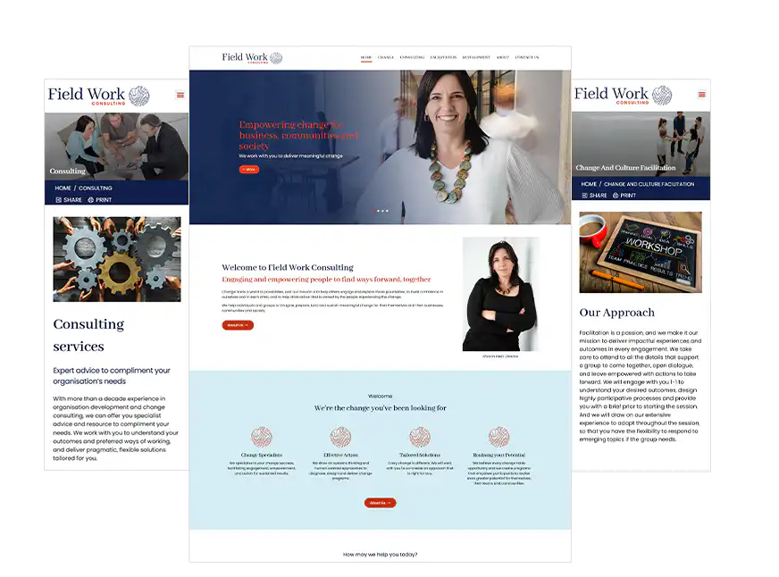 Perth website design Field Work Consulting