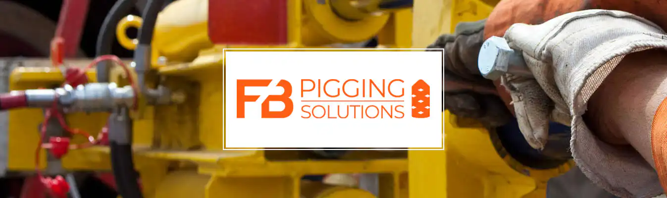 FB Pigging web design Perth