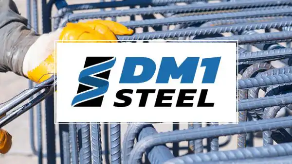 DM1 Steel website design