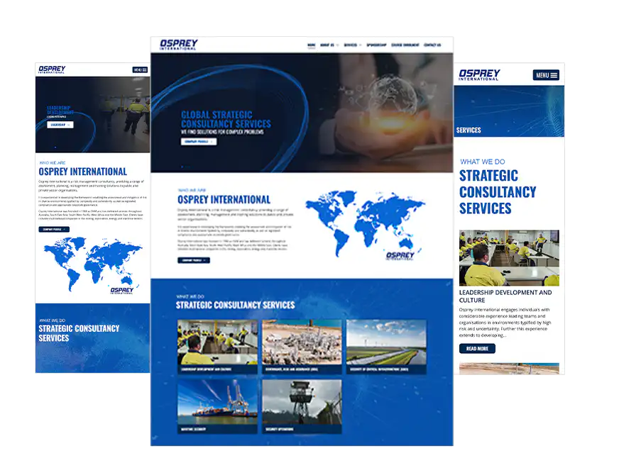 OAM Osprey International web design Perth